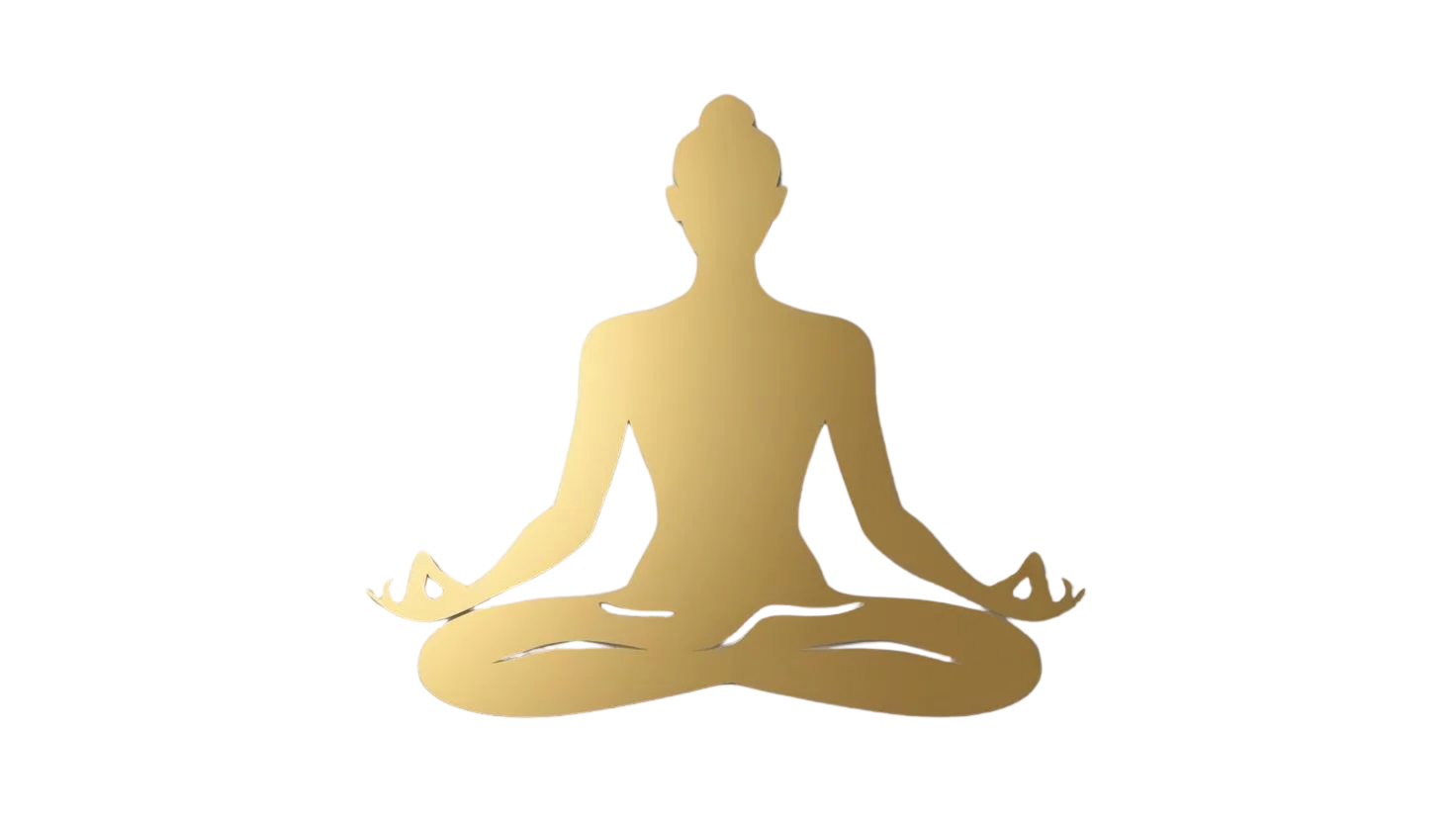 Wellness Icon